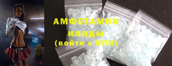 ПСИЛОЦИБИНОВЫЕ ГРИБЫ Арсеньев