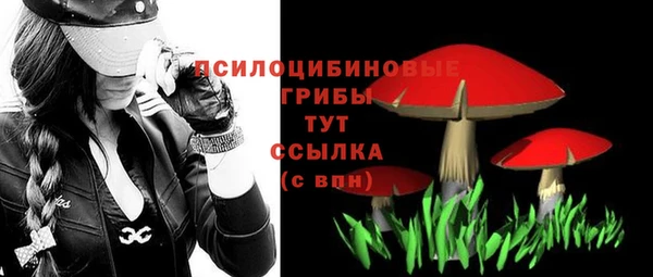 таблы Армянск