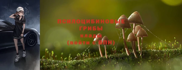 таблы Армянск