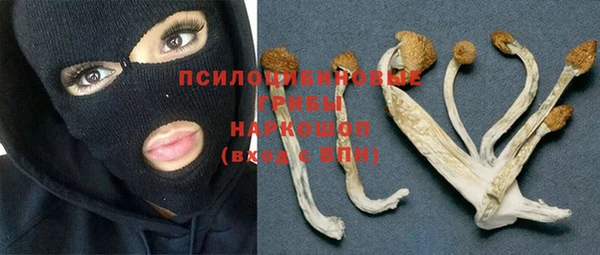 таблы Армянск