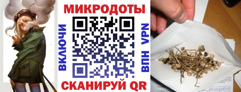 наркошоп  Курган  мега tor  Псилоцибиновые грибы MAGIC MUSHROOMS 